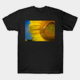 Sunflower With Bee 1 T-Shirt